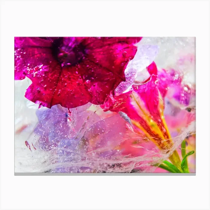 Flowers In Water Canvas Print by Art shop