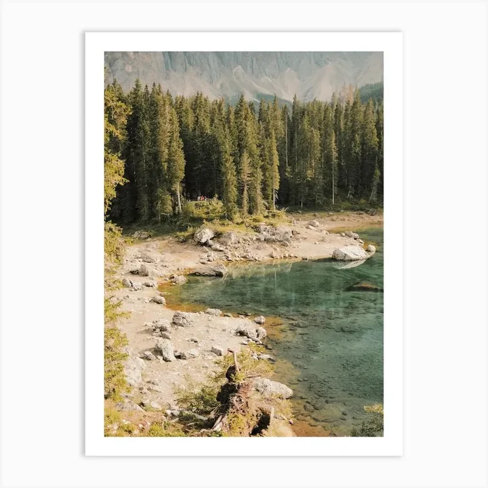 Forest Pond View Art PrintGS by Golden Saguaro