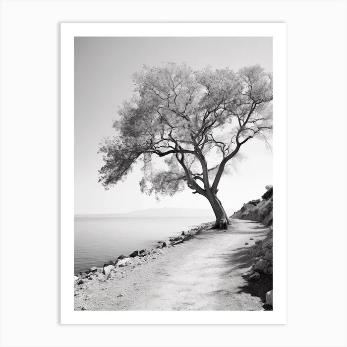 Gallipoli, Italy, Black And White Photography 4 Art Print by Monochrome Vistas