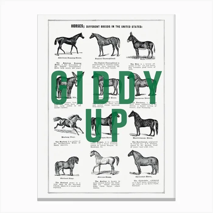 Giddy Up Canvas Print by The 13 Prints