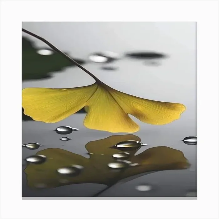 Ginkgo Leaf Canvas PrintH by Hadeer