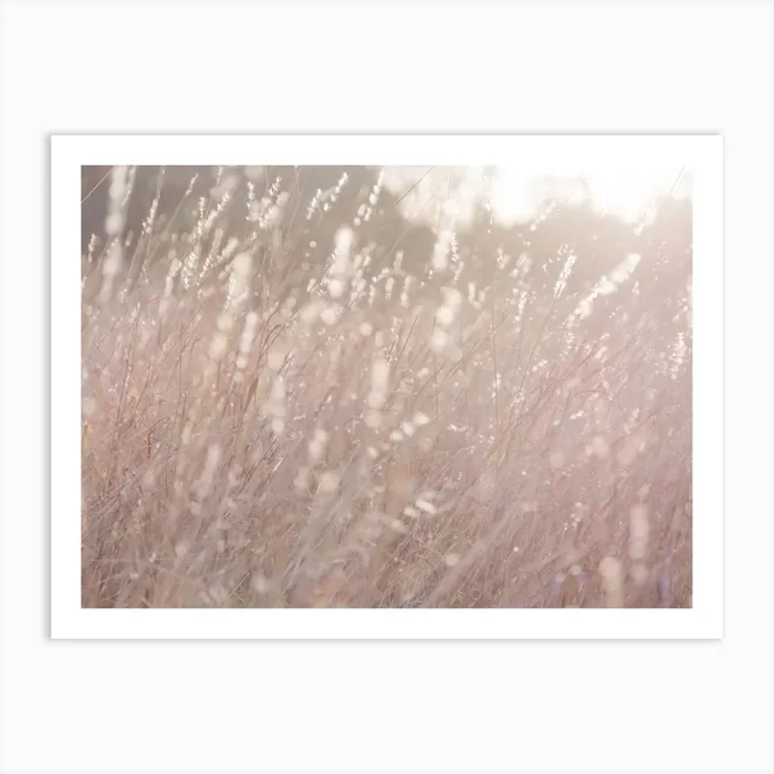 Glowing Field Art Print by Lindsey Erin
