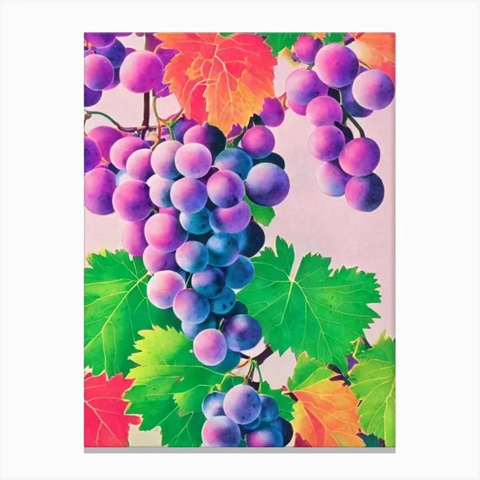 Grapes Risograph Retro Poster Fruit Canvas Print by The Fruitery