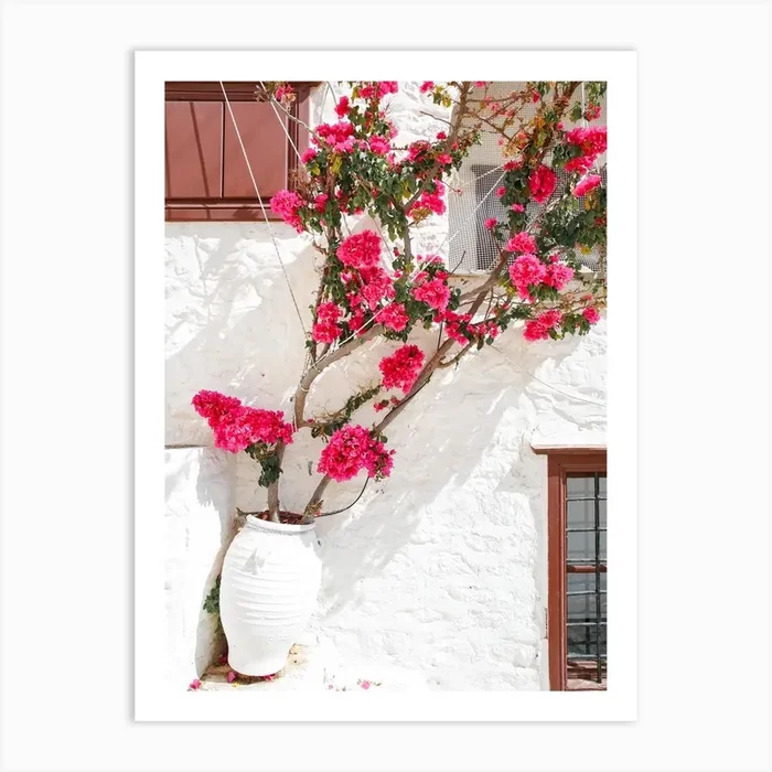 Greek Island Bloom Art Print by Victoria’s Stories