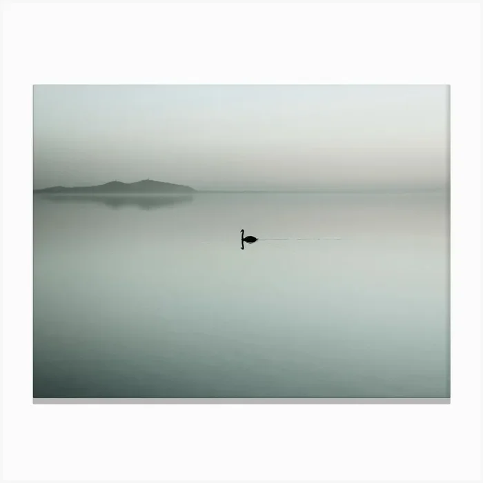 Helix Canvas Print by Kinga Herczeg Photography