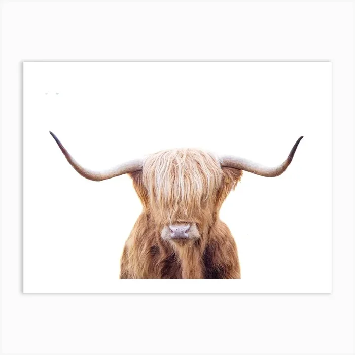 Highland Cow 2 Art Print by Victoria Frost