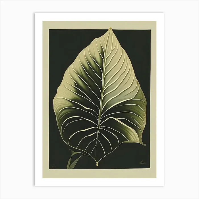Hosta Leaf Rousseau Inspired 2 Art PrintL& by Leaf & Stem Studio