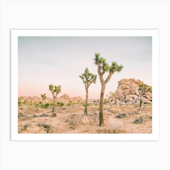 Joshua Tree Desert Art Print by Boho Styler Studio