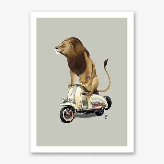 Lamb (Colour) Art Print by Rob Snow