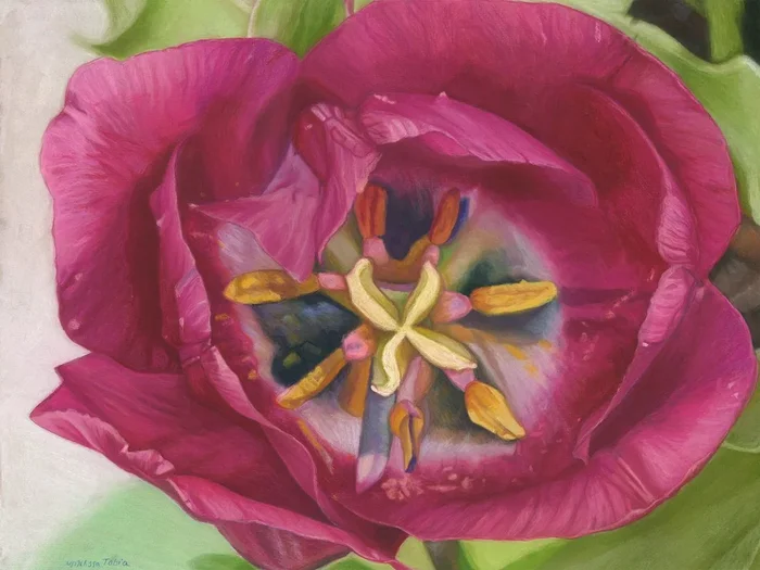 Landing Zone (2010) Pastel drawing by Melissa Tobia