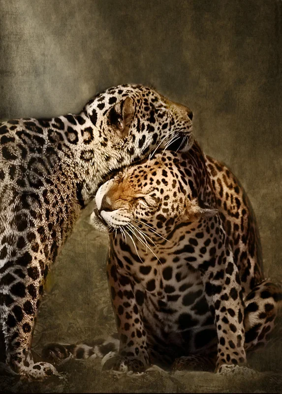 Lean On Me
