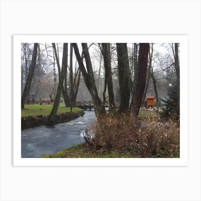 Life Between Water And Air Live Art Print by go4lifeplus