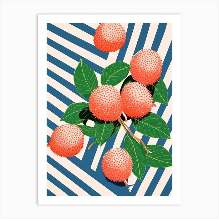 Lychee Fruit Summer Illustration 4 Art Print by Dreamy Seasons Art