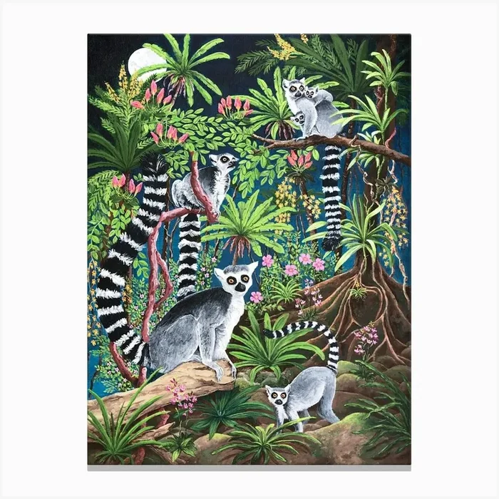 Madagascar: Ringtails And Orchids Canvas PrintSR by s rowan murray