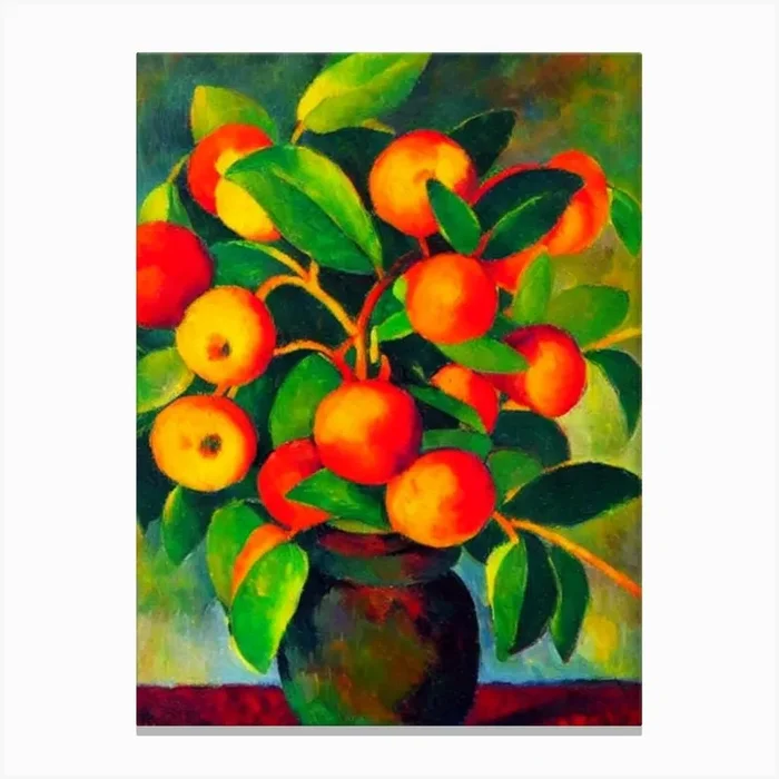 Mangosteen2 Fruit Vibrant Matisse Inspired Painting Fruit Canvas Print by The Fruitery