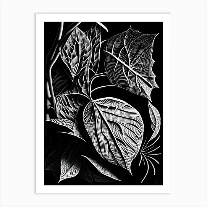 Marsh Tea Leaf Linocut 1 Art PrintL& by Leaf & Stem Studio