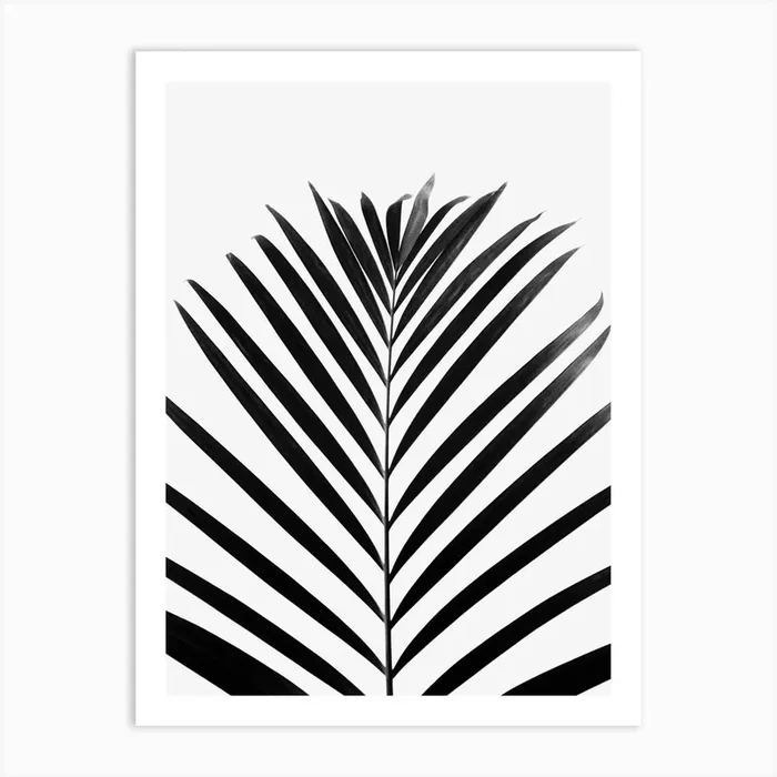 Minimal Palm Leaf Black And White Art Print by Studio Nahili