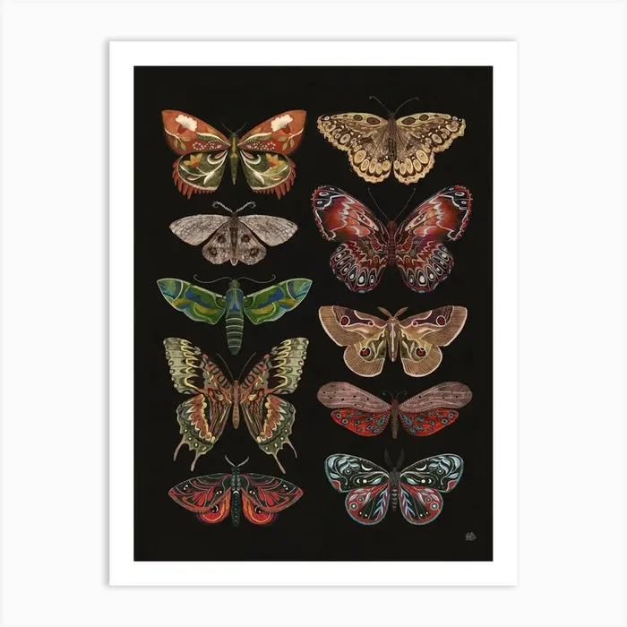 Moths And Butterflies folk art Art Print by żaneta antosik