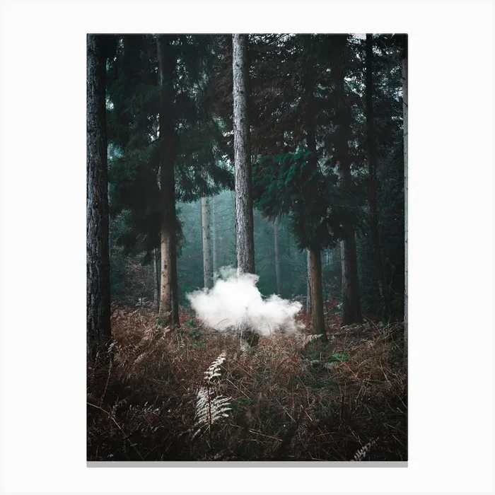 Natural Sigh Canvas Print by Tom Fabia
