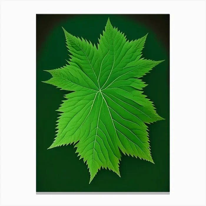 Nettle Leaf Vibrant Inspired 1 Canvas PrintL& by Leaf & Stem Studio