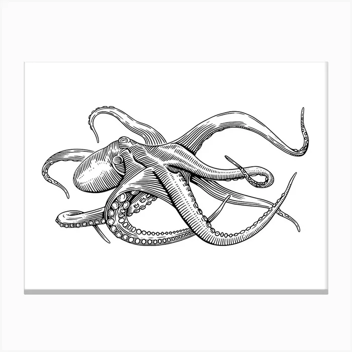 Octopus Illustration – Ocean Wildlife Art Print Canvas PrintLM by Lást: Maps & Illustration