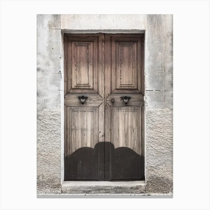 Old Wooden Door 3 Canvas Print by imagine
