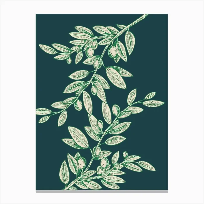 Olive Branch Canvas Print by Art shop