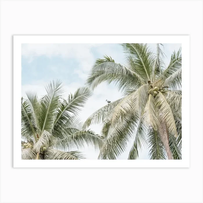 Palm Trees On Tropical Island Indonesia Art PrintP by Photolovers