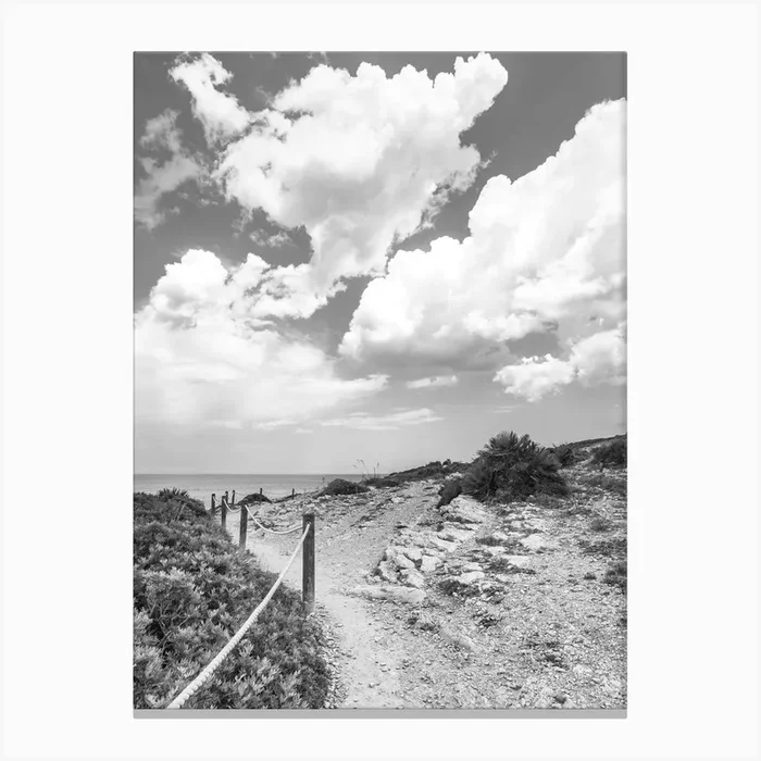 Path To The Sea, Black and White Canvas Print by imagine