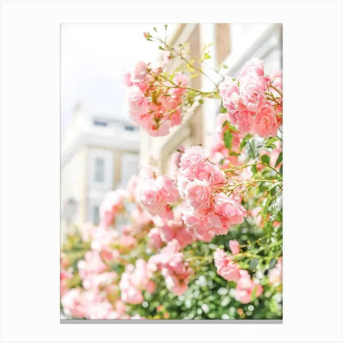 Peach Spring Blooms Canvas Print by Victoria’s Stories