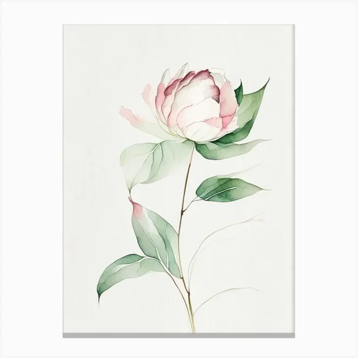 Peony Leaf Minimalist Watercolour 2 Canvas PrintL& by Leaf & Stem Studio
