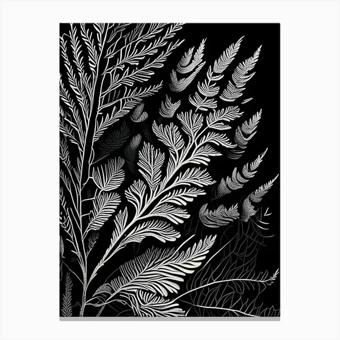 Pine Leaf Linocut Canvas PrintL& by Leaf & Stem Studio
