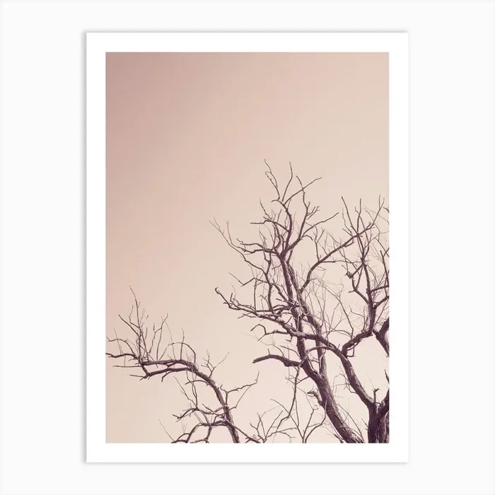 Pink Sky With A Tree Art PrintP by Photolovers