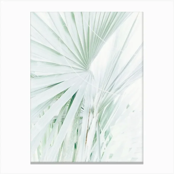 Pretty Palms Canvas Print by Lindsey Erin