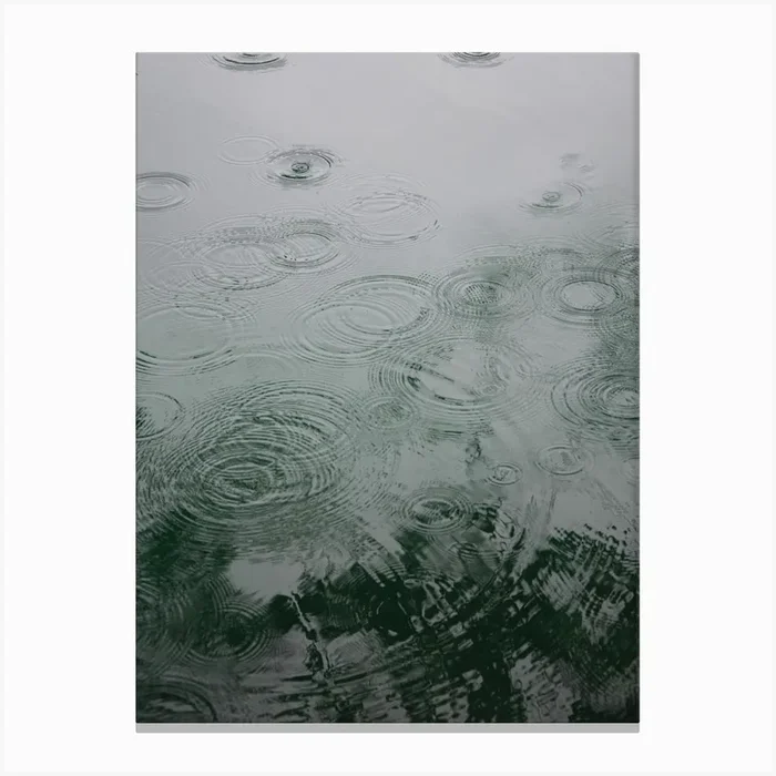 Raindrops Under The Tree Canvas Print by Studio Nahili