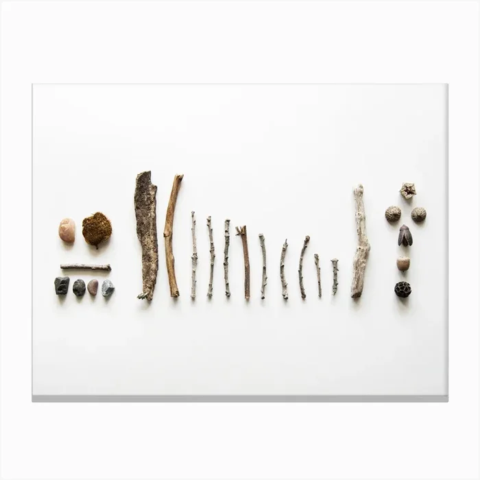 Rocks & Twigs 2 Canvas Print by Miles of Light