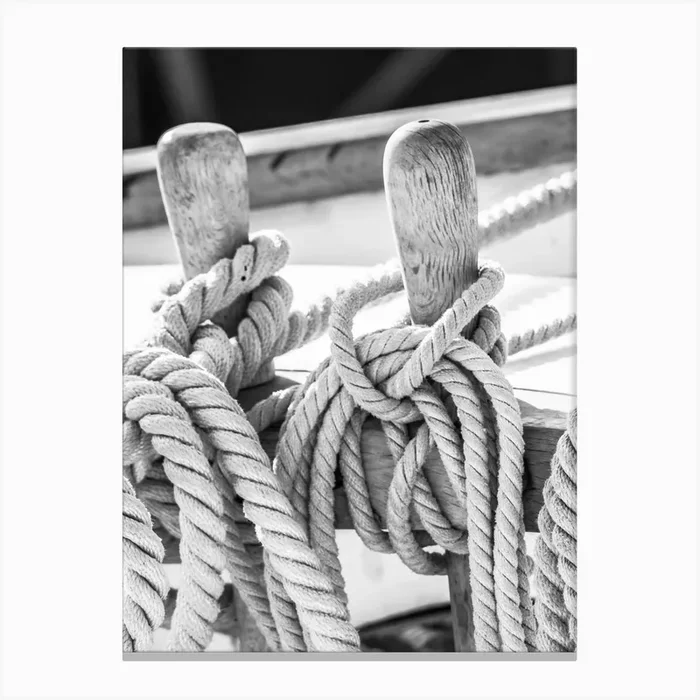 Ropes On A Boat Black And White Canvas Print by imagine
