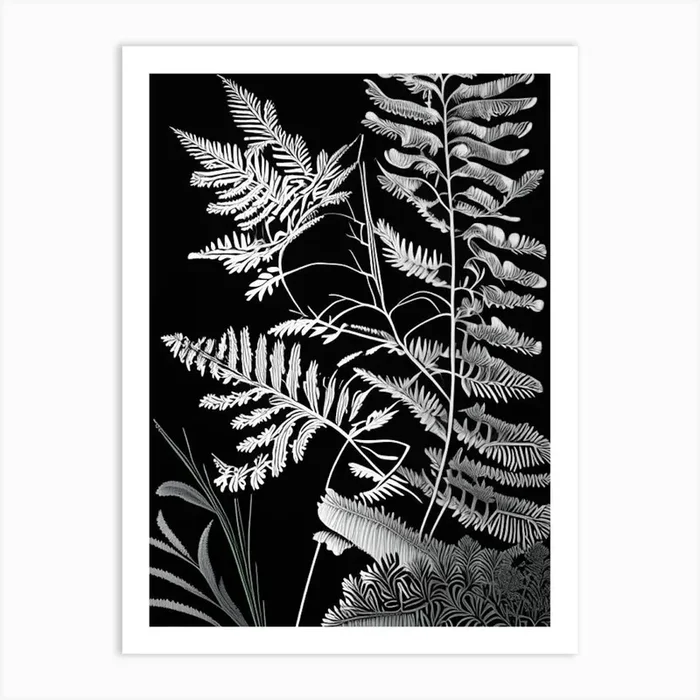 Royal Fern Wildflower Linocut Art PrintWS by Wildflower Studio