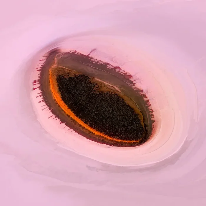 Salt Eye (2023) Photograph by Nick Psomiadis