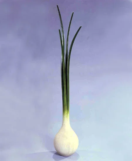 Scallion Coat Rack