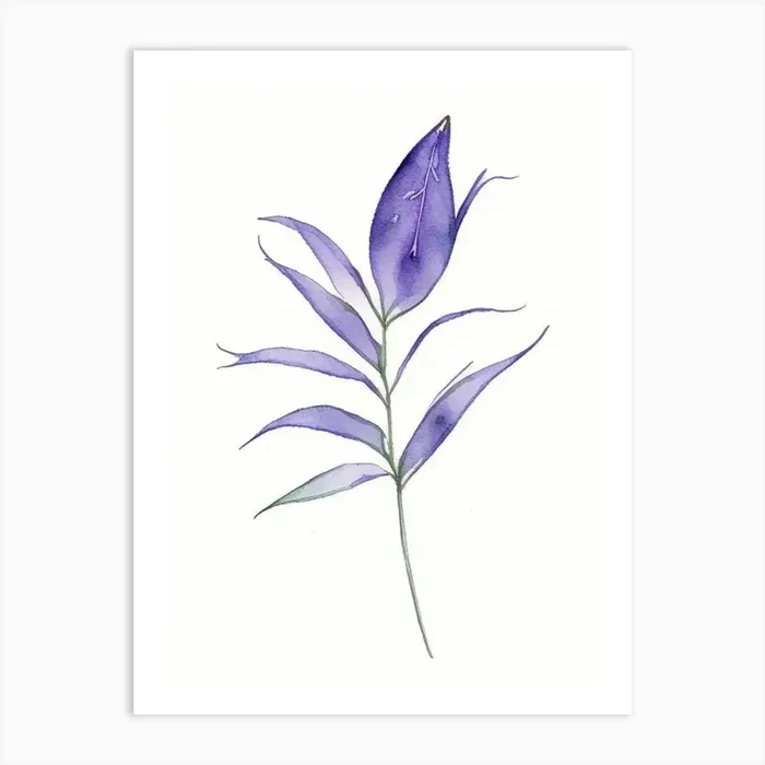 Spiderwort Leaf Minimalist Watercolour 2 Art PrintL& by Leaf & Stem Studio