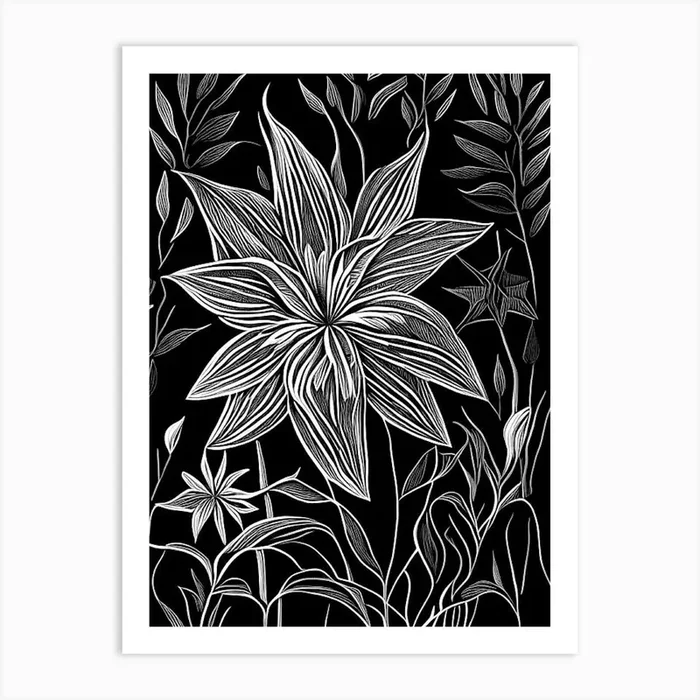 Star Flower Wildflower Linocut Art PrintWS by Wildflower Studio