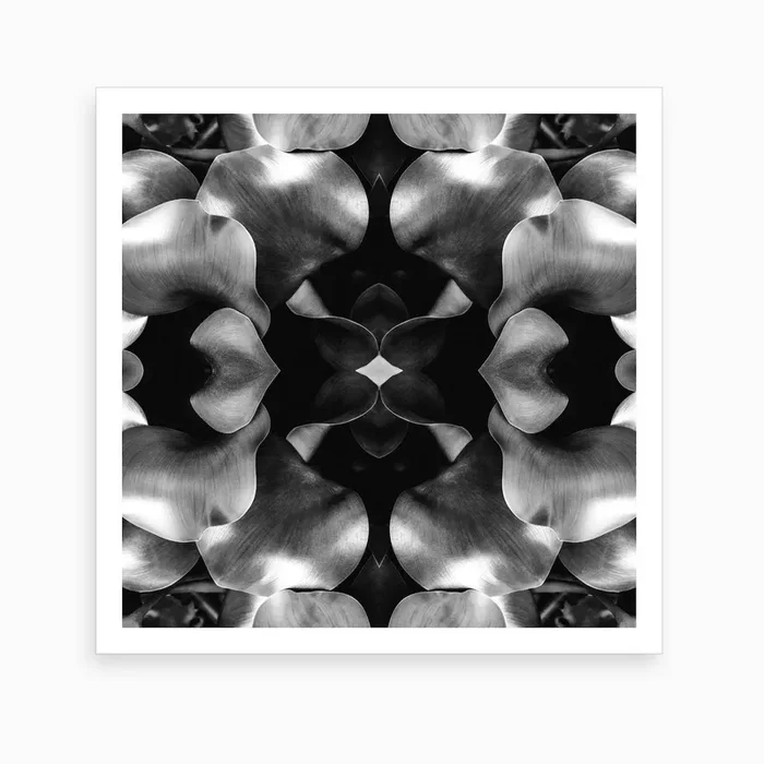 Take Me To Your Leader Bw Art Print by Wanderlost & Found