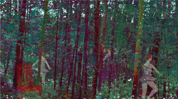 The Secret Forest