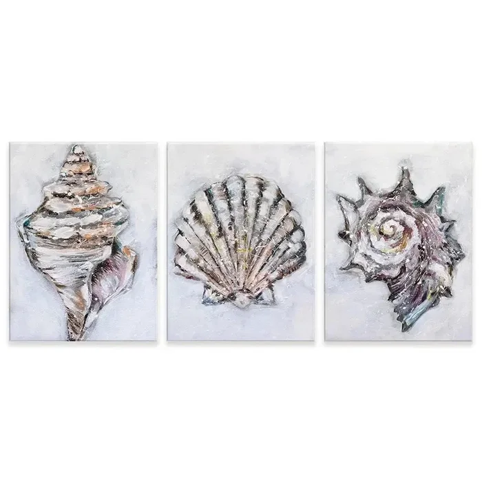 Three Shells Trio Canvas Print