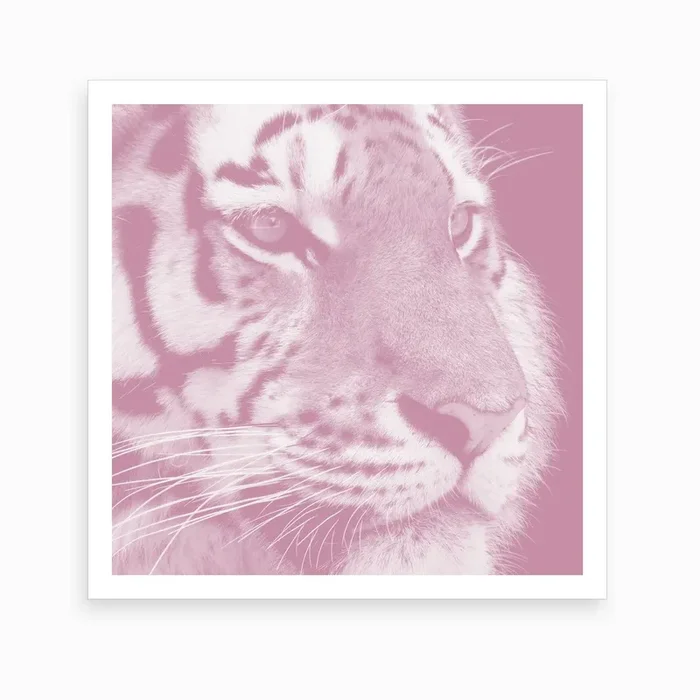 Tiger Pastel Flamingo Square Art Print by Thula Photography