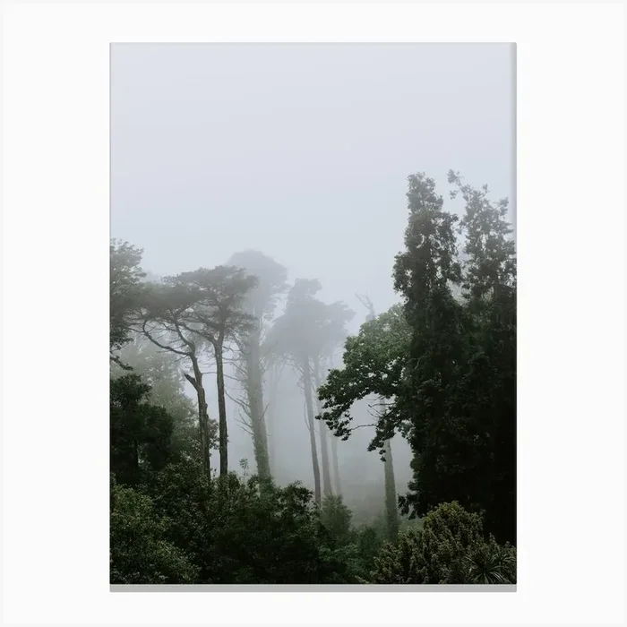Trees in the park of the National Palace of Pena, Sintra Canvas Print by My Daily Destinations