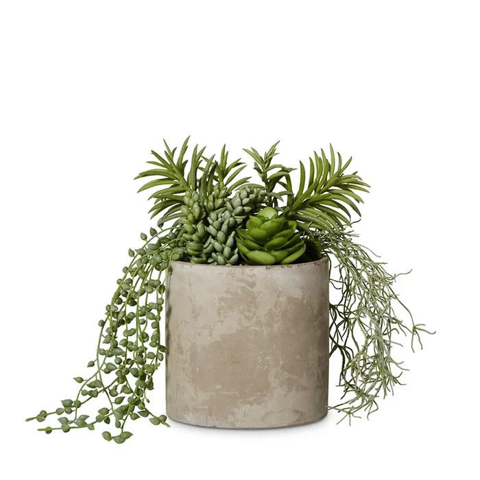 Tulum Succulent Hanging Fern