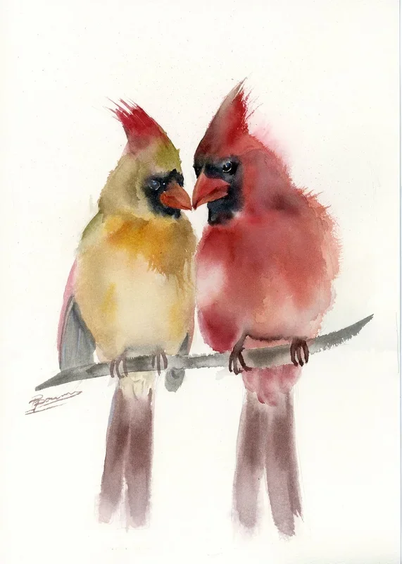 Two Cardinals (2023) Watercolour by Olga Tchefranov (Shefranov)