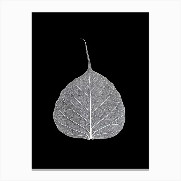 Veins Of Life 2 White Leaf Canvas Print by Studio Nahili